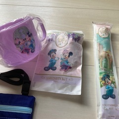ディズニー　ファンタジースプリングスホテル　宿泊者特典などの画像