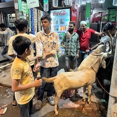 インド旅行を語る会♪ - その他