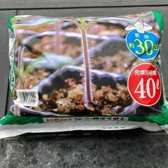 タネのタキイ　野菜と花の種まき培土　玉ねぎの種他おまけ付の画像