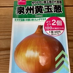 タネのタキイ　野菜と花の種まき培土　玉ねぎの種他おまけ付の画像