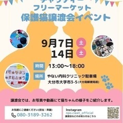 9月・保護猫ちゃん譲渡会💕