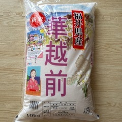 新米　華越前　10kg