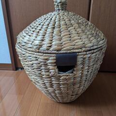 どんぐり　カゴ収納