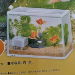 新品　ロカボーイSのみ　の画像