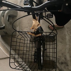自転車（折りたたみ）0円の画像
