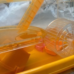 ハムスターゲージの画像