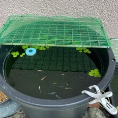 45L  容器 アクアリウム用品 水槽 メダカ ビオトープ