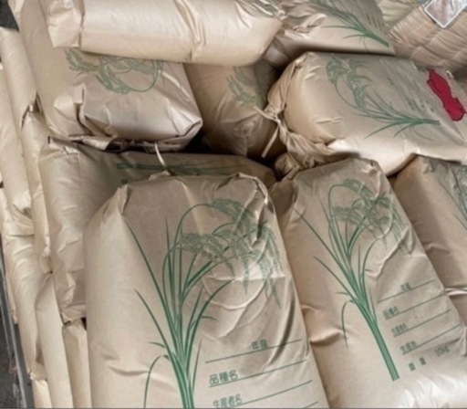 コシヒカリ新米３０キロ　　精米も承ります