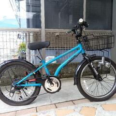 子供用自転車 ドライド ビート 20インチ