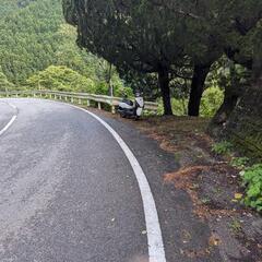 不動　原付ホンダトゥデイ　自分でもって帰れる人限定