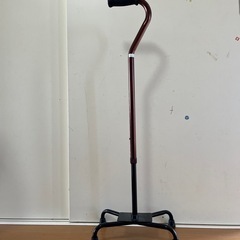 四点杖🌟持っていく事可能です！の画像