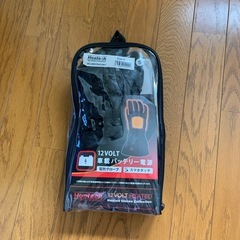 電熱グローブ