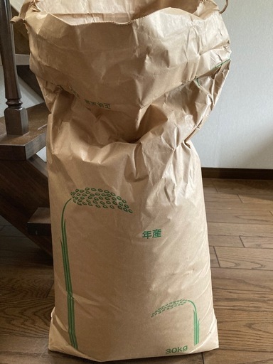 【決定】令和6年(2024年) 新米コシヒカリ 30kg