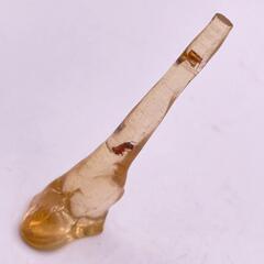 虫入りコパル(B1494)の画像