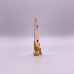 虫入りコパル(B1494)の画像