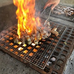 ソフトボールしませんか - メンバー募集