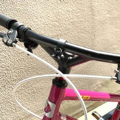ルイガノ 子供 キッズ 自転車 18インチ ピンク (K18LITE CHERRY PINK)の画像