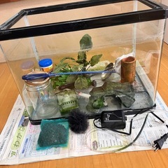 コトブキ水槽　飼育セット