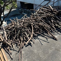 焚き火用残りわずか の画像