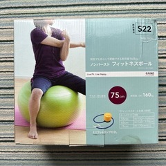 カインズ　フィットネスポール　750