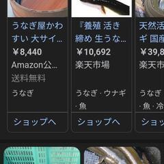 天然ウナギ獲り仲間募集します