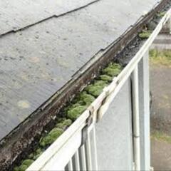 雨樋掃除・修理ができる方【北杜市・甲府市近隣】 - 韮崎市
