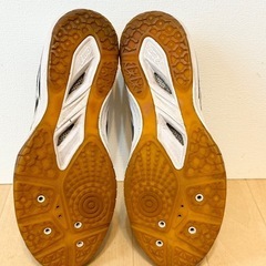 アシックス　バレーボール　シューズの画像