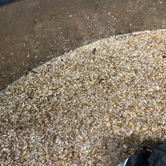 クラフトビールを醸造した際に出た麦芽カス