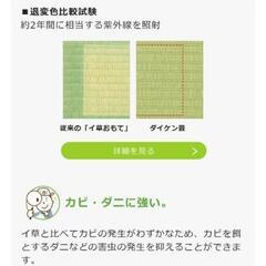 ★たたみ ラストチャンス 6畳分【江戸間】176×88■新古★9/23処分の画像