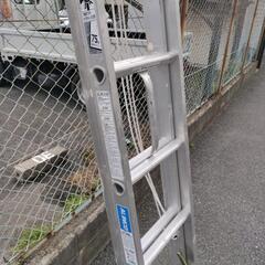 無料　アルインコ アルミ2連はしご 6.0m  の画像