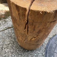 スエーデントーチの画像