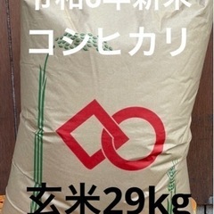 鳥取県産大前さん令和6年新米コシヒカリ玄米29Kg