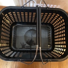 バスケットの画像