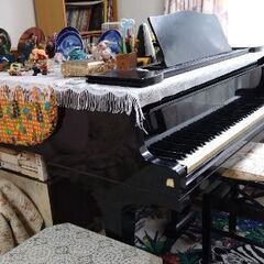 ミドル・シニア趣味のピアノの画像