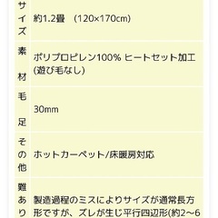 ラグ　120×170cmの画像