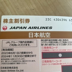 飛行機割引