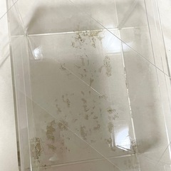 【お引取り完了】🐟中古🐟アクリル水槽🐟40cm🐟No.①の画像