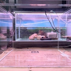 【お引取り完了】🐟中古🐟アクリル水槽🐟40cm🐟No.①の画像