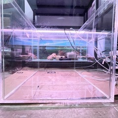 【お引取り完了】🐟中古🐟アクリル水槽🐟40cm🐟No.①の画像