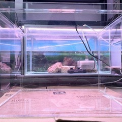 【お引取り完了】🐟中古🐟アクリル水槽🐟40cm🐟No.①