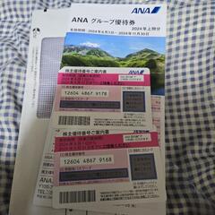 ANA株主優待２枚+割引件冊子