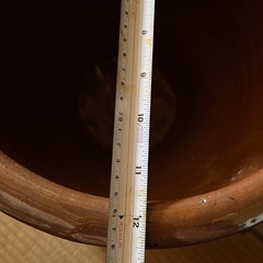 大きな瓶の画像