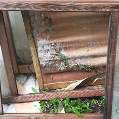 昭和レトロ 建具 ガラス窓 の画像