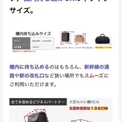 UNIBIZ マルチリュックの画像