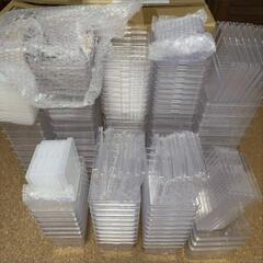 女性に人気🥰ニジイロクワガタ♂♀ペア残り僅かの画像