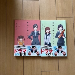 義母と娘のブルース上下