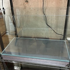 フレームレス60水槽