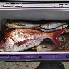【再掲】船釣り仲間募集　興味があるという方もぜひ − 茨城県