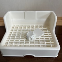 小動物★トイレの画像