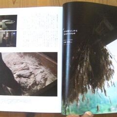 激安・売り切れ御免！2018年10月号/ nicc things  明日のパン◎オーガニック手作り・食パン自然農法・食育活動/美本★の画像